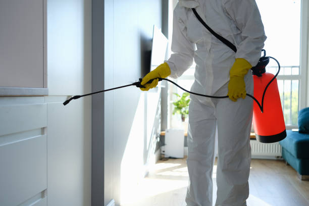 Best Commercial Mold Removal  in East Point, GA